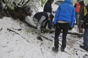 RFO 5 Maggio 2019 - 4x4 Pavia  - Club Fuoristrada