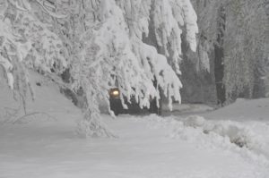 RFO 5 Maggio 2019 - 4x4 Pavia  - Club Fuoristrada