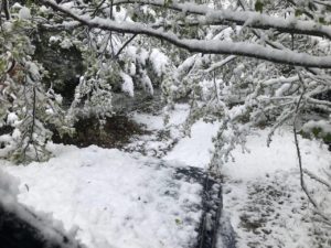RFO 5 Maggio 2019 - 4x4 Pavia  - Club Fuoristrada