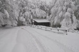 RFO 5 Maggio 2019 - 4x4 Pavia  - Club Fuoristrada