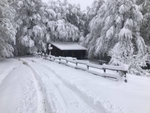 RFO 5 Maggio 2019 - 4x4 Pavia  - Club Fuoristrada