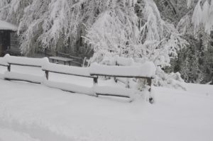 RFO 5 Maggio 2019 - 4x4 Pavia  - Club Fuoristrada