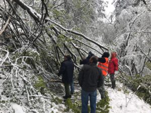 RFO 5 Maggio 2019 - 4x4 Pavia  - Club Fuoristrada