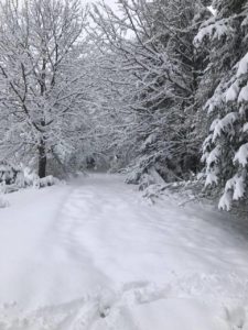 RFO 5 Maggio 2019 - 4x4 Pavia  - Club Fuoristrada