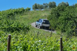 Sapori in Fuoristrada Family - Giugno 2019 - 4x4 Pavia