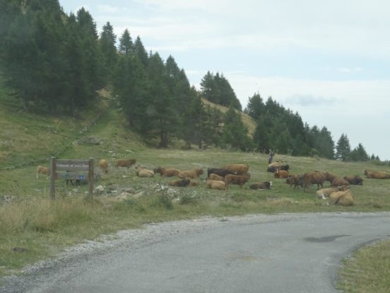 Vie del Sale 2019 - 4x4 Pavia - Club Fuoristrada