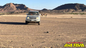 Marocco 2024/2025 - 4x4 Pavia - Club Fuoristrada